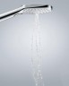 Ручной душ Hansgrohe Raindance Select 26520140