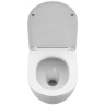 Комплект унитаза BelBagno Uno-Tor BB5177CH-TOR/SC с инсталляцией Grohe Rapid SL 38721001