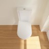 Унитаз-компакт Villeroy&Boch Hommage 666210R1 без бачка и сиденья