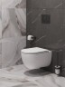 Унитаз BelBagno Etna BB008CH-TOR/SC подвесной