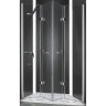 Душевая дверь в нишу Cezares ELENA-W-BS-22-160-C-Cr