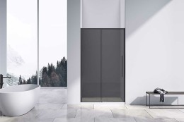 Душевая дверь Vincea Slim-N 120 VDS-4SN120CGB
