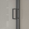Душевая дверь Vincea City 120 VDS-5CT120CLGM