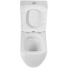 Унитаз-компакт BelBagno Luce-Tor BB2197CP-TOR/SC