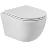 Унитаз Cezares Relax-Tor CZR-3806-53-TH-TOR/SC подвесной