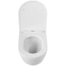 Унитаз Cezares Relax-Tor CZR-3806-53-TH-TOR/SC подвесной