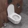 Унитаз Cezares Relax-Tor CZR-3806-53-TH-TOR/SC подвесной