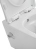 Унитаз подвесной BelBagno Marino BB7026CH-TOR-BS/SC