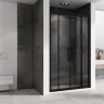 Душевая дверь Abber Schwarzer Diamant 150 AG33150BH профиль Черный стекло прозрачное