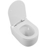 Унитаз BelBagno Soft-Tor BB084CH-TOR подвесной