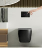 Кнопка смыва Abber AC0122SMB цвет Черный матовый