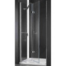 Душевая дверь Cezares Elena 100 ELENA-W-BS-12-100-C-Cr