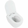 Унитаз Cezares Stylus CZR-513-TH-R/CZR-2011-SC подвесной