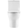 Унитаз моноблок BelBagno Lounge BB8618CPR-MN/SC