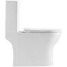 Унитаз моноблок BelBagno Lounge BB8618CPR-MN/SC
