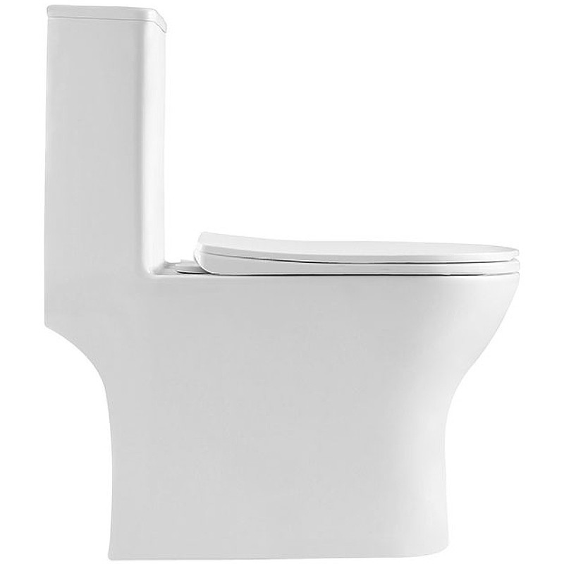 Унитаз моноблок BelBagno Lounge BB8618CPR-MN/SC