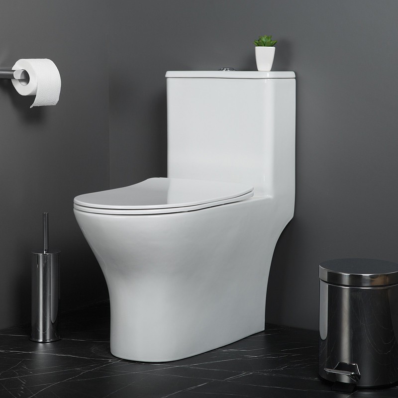 Унитаз моноблок BelBagno Lounge BB8618CPR-MN/SC