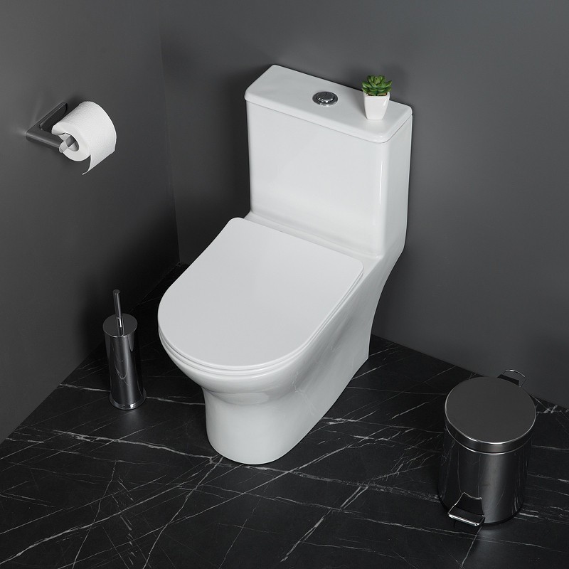 Унитаз моноблок BelBagno Lounge BB8618CPR-MN/SC