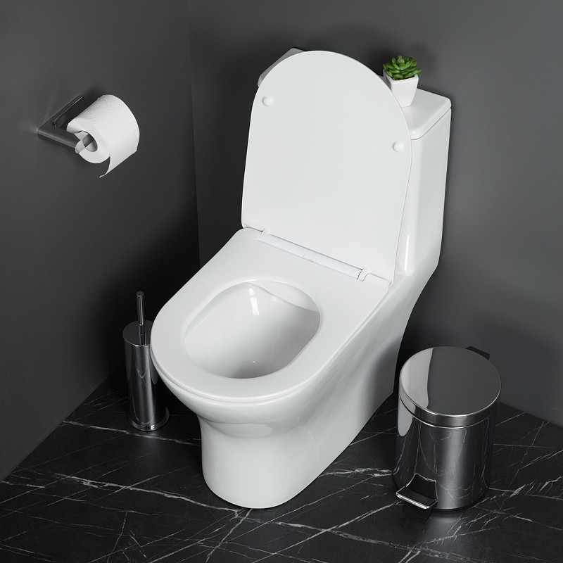 Унитаз моноблок BelBagno Lounge BB8618CPR-MN/SC
