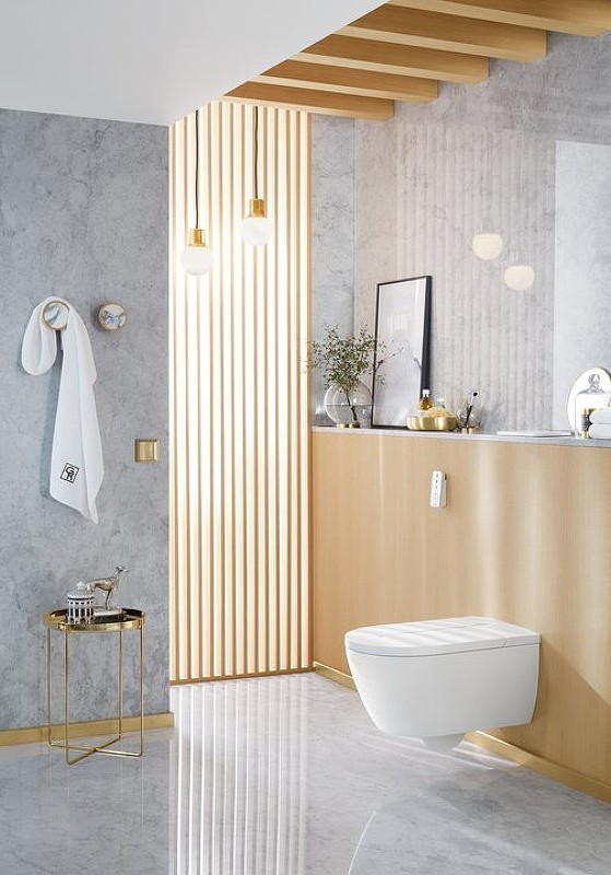 Унитаз биде Villeroy&Boch ViClean-L V0E100R1 подвесной с сиденьем Микролифт
