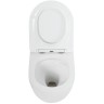 Комплект унитаза Cezares Stylus-Tor CZR-6601-TH-TOR/CZR2316SC с инсталляцией BelBagno BB002-80/BB014-SR-BIANCO