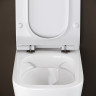 Унитаз Ceramicanova New Day CN3005 подвесной с сиденьем Микролифт